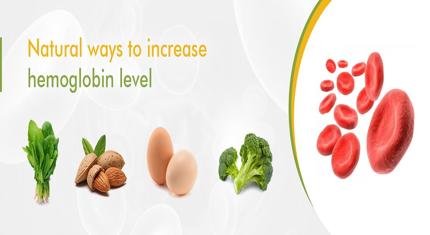 Food to Increase Hemoglobin - Home Remedies To Increase Levels